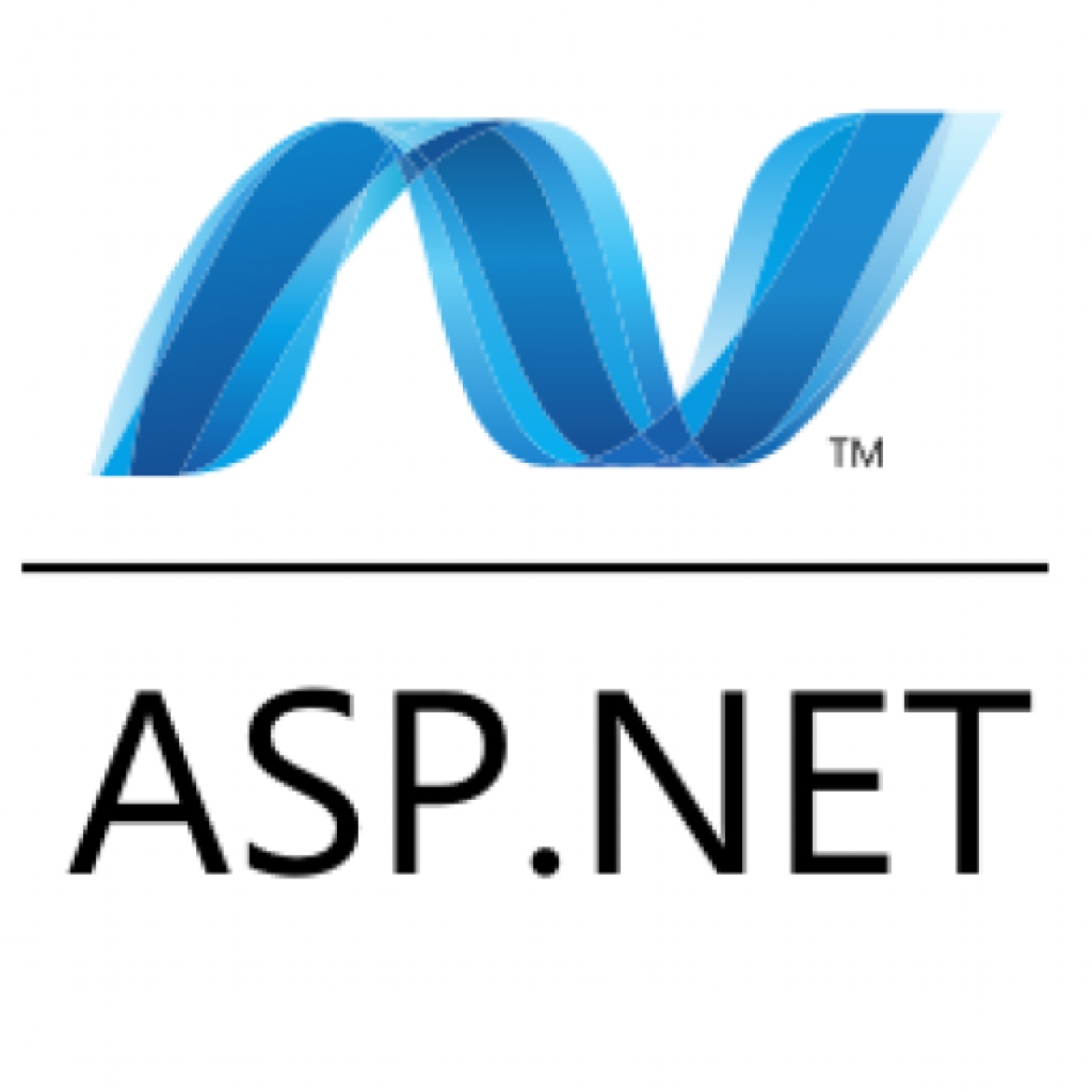 Asp net host